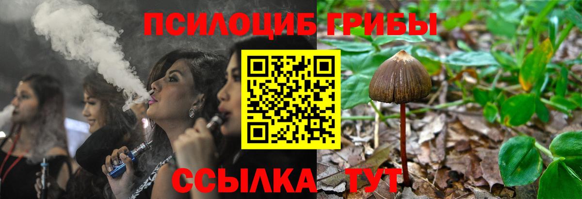 Галлюциногенные грибы Cubensis Коряжма